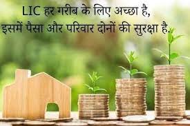 Pin On Shayari