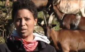 Location of agitu.exe and associated malware. Oel4vy6lezytam