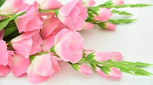 Maybe you would like to learn more about one of these? Chicago Flower Exchange Home