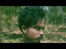 Vicky Harrison official