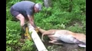 Deer feeders come in all shapes and sizes. This Is Why You Don T Make Homemade Deer Feeders Video The Hunting News