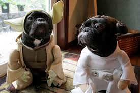 Star Wars Dog Names 85 Awesome Names For Jedi Dogs Star Wars Dog Costumes War Dogs Dog Names