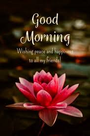 Morning is the best time and when we wake up we feel the freshness of the day ahead of us. á… Top 100 Good Morning Flowers Images Pictures Gifs