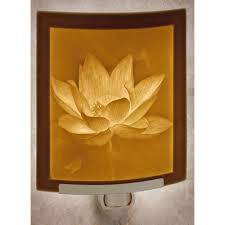 Decorative Night Lights Night Time Lighting