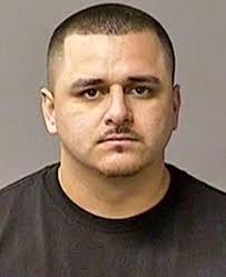 Mail thief arrested north of Hatch Road