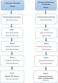 Final analysis of covaxin efficacy out; The Find Of Covid 19 Vaccine Challenges And Opportunities Sciencedirect
