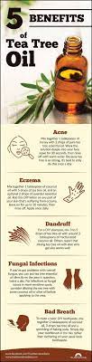 5 Must Know Benefits Of Tea Tree Oil And How To Use It Tea Tree Oil Tree Oil Tea Tree Shampoo