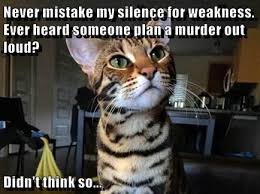 Never Mistake My Silence For Weakness Cute Cat Memes Funny Animal Memes Funny Cats