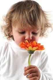 Unser Geruchssinn arbeitet mit Verstärker: www.hno-aerzte-im-netz.de