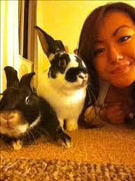 HELP! super allergic to timothy hay