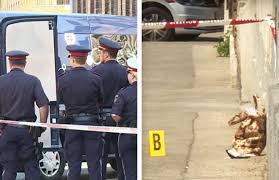 Mitten in der belebten wiener innenstadt wurde vor einigen tagen david sanikidse. Messer Mord In Favoriten Polizeibekannter Ex Mann Gestandig Kosmo