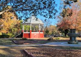 Church's pet food pantry feeds multitudes of dogs and cats