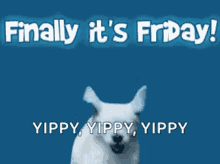 2019 is here and memes trending are on its peak. Funny Its Friday Memes Gifs Tenor