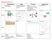 biomolecules chart key biomolecules chart key