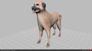 Kangal 3d Kopek 3d Cizimler