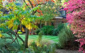 Below is a list of deciduous flowering trees, meaning they'll change with the seasons: The Best Trees For Small Gardens For Privacy Flowers And Colour The Telegraph
