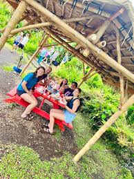 Image result for Alinula peteri