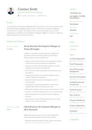 Business Development Manager Resume Guide 12 Templates Pdf