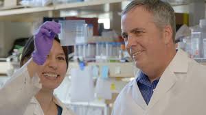 Exceptional Faculty Honored by Chancellor's Associates