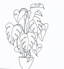 Pin Auf Cactus