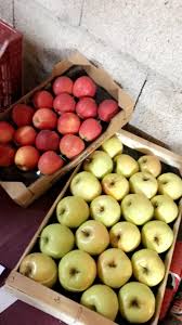 Arboriculteurs Correze 19 Fruits En Vente Directe Producteur