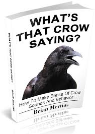 What S That Crow Saying Crow Books Black Bird