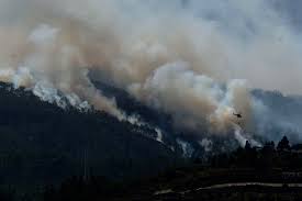 Los medios aéreos también combaten el incendio de tenerife desde el aire y se espera acotar el avance del fuego a lo. Se Teme Que El Fuego Se Extienda Muy Rapido Y Pueda Llegar Al Parque Nacional Del Teide Diario De Avisos