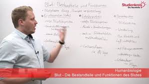 Bestandteile Des Blutes Und Aufgaben Online Kurse