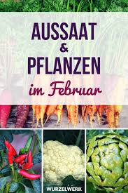 Hier sind die wintermonate tabu. Aussaat Pflanzen Im Februar Beispiel Gartenplan Wurzelwerk