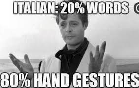 Yeah, i've seen so many memes about that italian hand gesture, i googled it, and the conclusion i got is, it means ?. Italian Language 20 Percent Words 80 Percent Hand Gestures Italian Joke Italian Memes Italian Humor