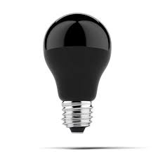 Every Other Thing For Sale Ebay