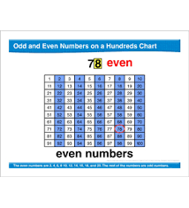 Math Review Hundred Chart Skip Counting Place Value By