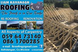 Wicklow Junior B Football Championship Top Scorers Table 2023