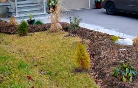 If you have the money but you don't have the time, then there are a few things you can do. Low Maintenance Landscape Design 10 Common Mistakes To Avoid Garden Fundamentals