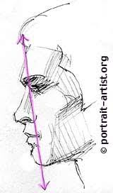 Drawing The Profile Portrait Lesson Drawing Tutorial Drawing Tutorial Face Drawing Portrait Drawing