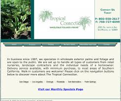Love all of those palm leaves but looking for something on the easier side? The Tropical Connection National Domains Llc