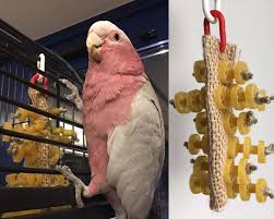 Parrot Toy Made With Pasta And Natural Fibers Woven Aviariesideas Aviariesdiy Parrotcagediy Parrot Toys Parrot Parrot Pet