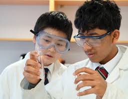 The Bulletin 236 by RGS Guildford