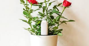 Maybe you would like to learn more about one of these? Xiaomi Mi Flower Monitor Will Alert You Via Mobile Phone When You Need To Water The Flowers He Has A Coupon In The Czech Warehouse Xiaomi Planet