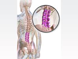Neos Surgery Awarded 2 3m Grant From The European Commission To Improve Herniated Disc Treatment 2021 01 28 Bioworld
