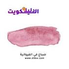 دليل الكويت