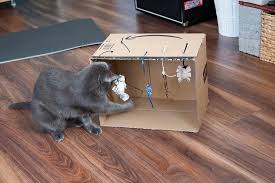 Katze Spielt Mit Einem Mobile In 2020 Katzen Spielzeug Katzenspielzeug Selber Machen Katzenspielzeug