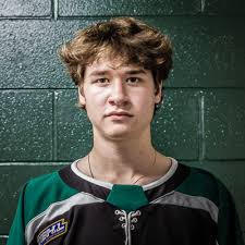 Devin Pelletier Stats and Player Profile