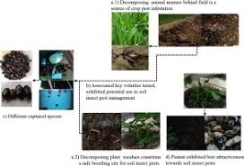 Genetically modified resistance, pesticides, other physical pest traps etc. Transition Challenge To Organic Agriculture A Course For Advancing Belowground Insect Pest Management Sciencedirect