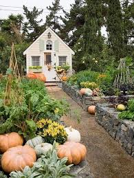 Start in your own backyard. Garden Provides A Healthy Plant Based Diet