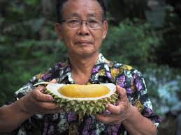 Thomas's Sarawak Durian Farm