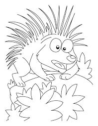 Some porcupine coloring may be available for free. Porcupine Coloring Pages Best Coloring Pages For Kids