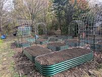 Kitchen Gardening Part 2