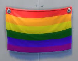 Maybe you would like to learn more about one of these? Pride Flag The Sims Wiki Fandom