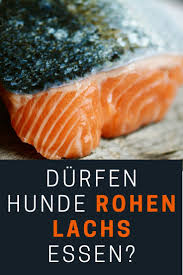Durfen Hunde Lachs Essen Roh Gekocht Frisch Gerauchert Mit Haut In 2020 Essen Lebensmittel Essen Lachs